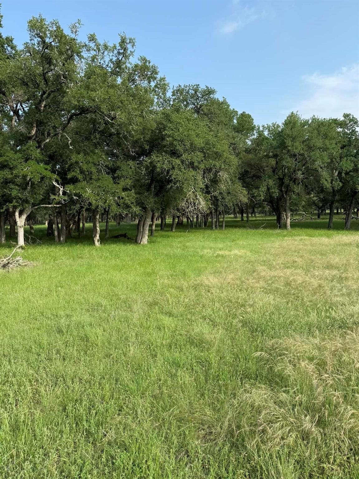 2251 County Road 234 Lane Georgetown TX 78633