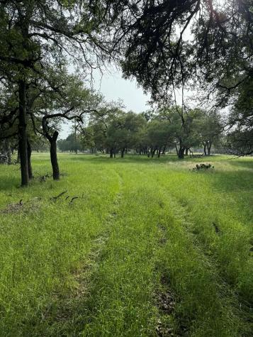 2251 County Road 234 Lane Georgetown TX 78633