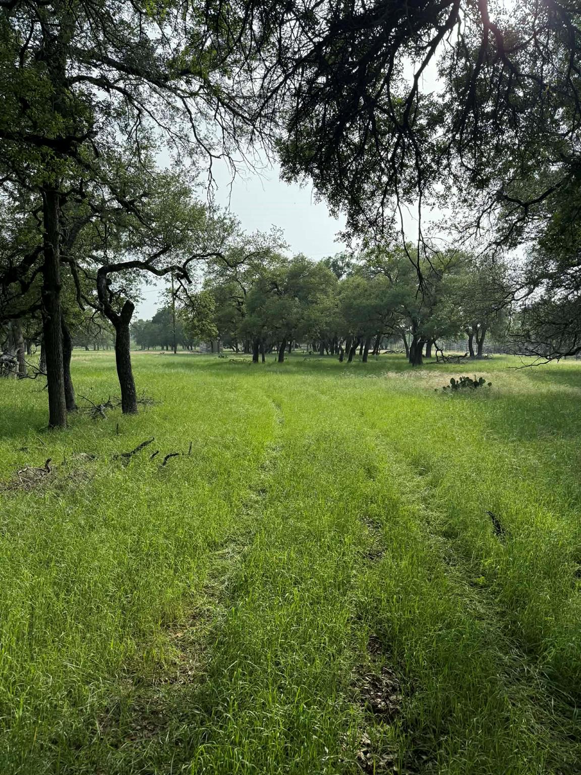 2251 County Road 234 Lane Georgetown TX 78633