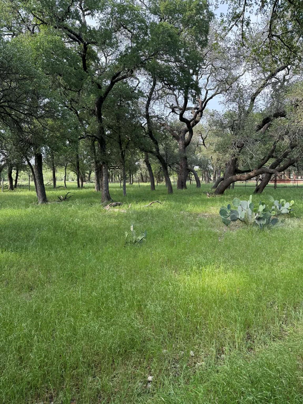 2251 County Road 234 Lane Georgetown TX 78633