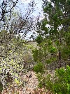 20801 Jamestown Cove Leander TX 78645