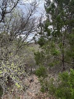 20801 Jamestown Cove Leander TX 78645