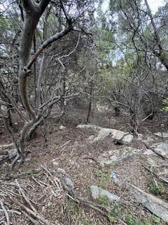 20801 Jamestown Cove Leander TX 78645