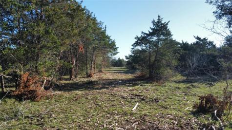 Tbd Lot 19 Kovar Road Smithville TX 78957