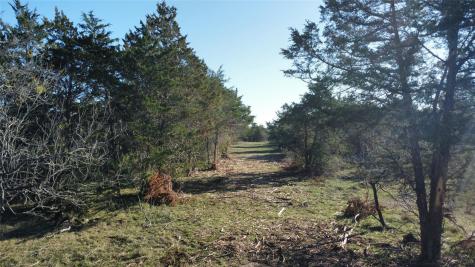 Tbd Lot 19 Kovar Road Smithville TX 78957