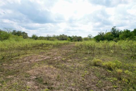 Tbd Lot 19 Kovar Road Smithville TX 78957