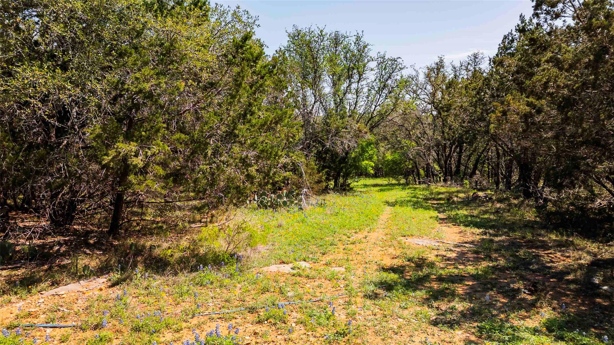 551 Lake View Drive Spicewood TX 78669