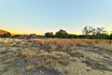485 Vail River Road Dripping Springs TX 78620