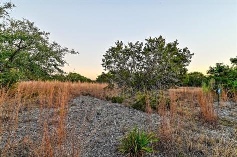 485 Vail River Road Dripping Springs TX 78620