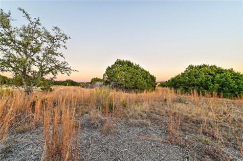 485 Vail River Road Dripping Springs TX 78620