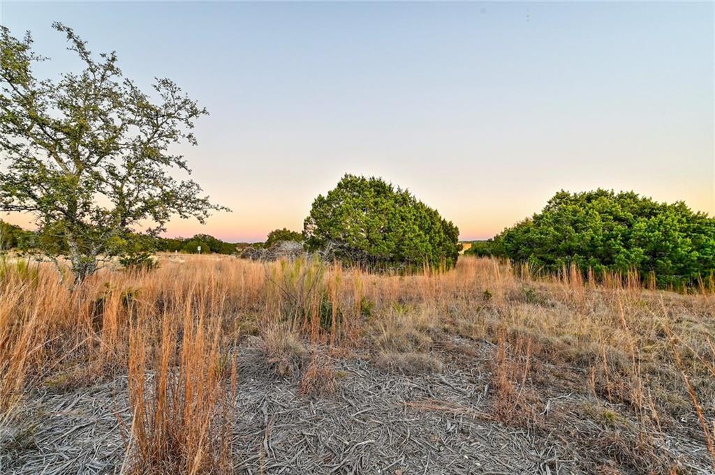 485 Vail River Road Dripping Springs TX 78620