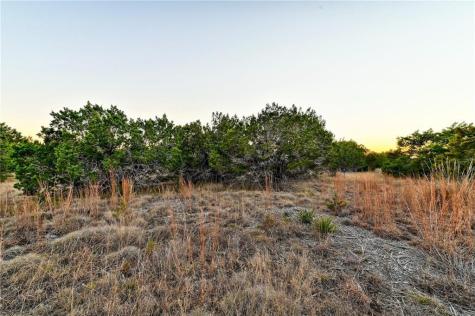 485 Vail River Road Dripping Springs TX 78620