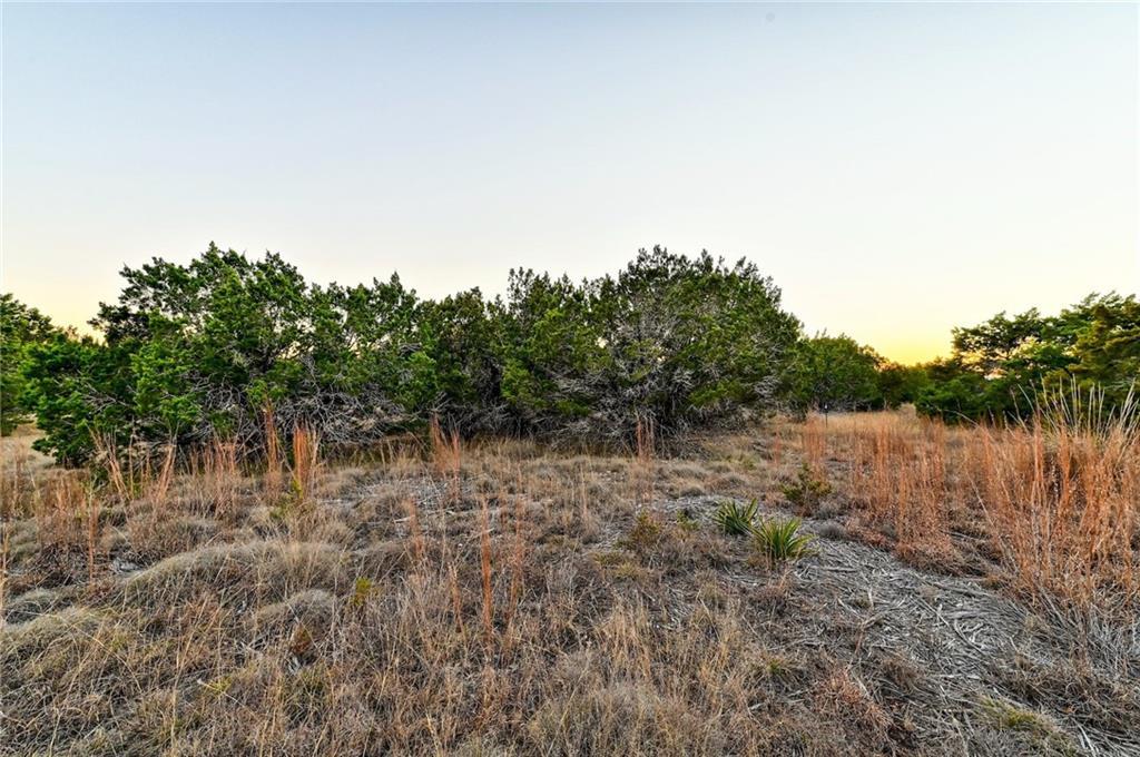 485 Vail River Road Dripping Springs TX 78620