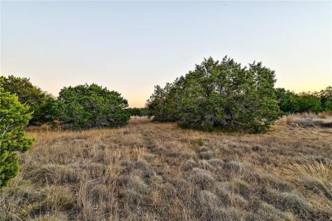 485 Vail River Road Dripping Springs TX 78620