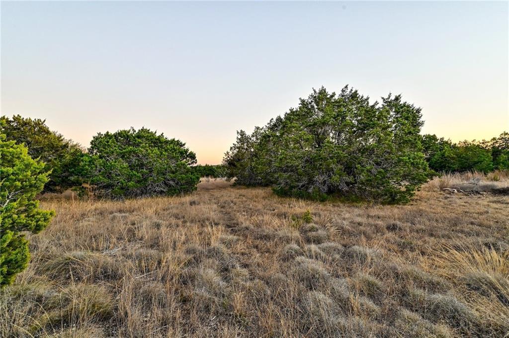 485 Vail River Road Dripping Springs TX 78620