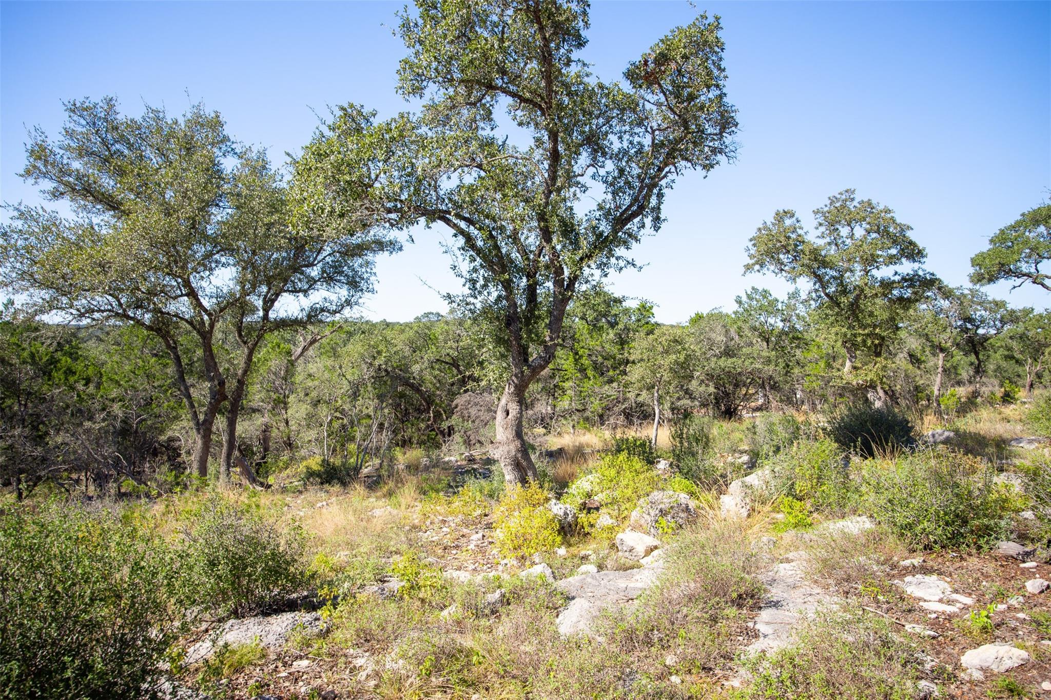 1962 Paradise Parkway Canyon Lake TX 78133