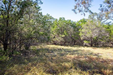 1962 Paradise Parkway Canyon Lake TX 78133