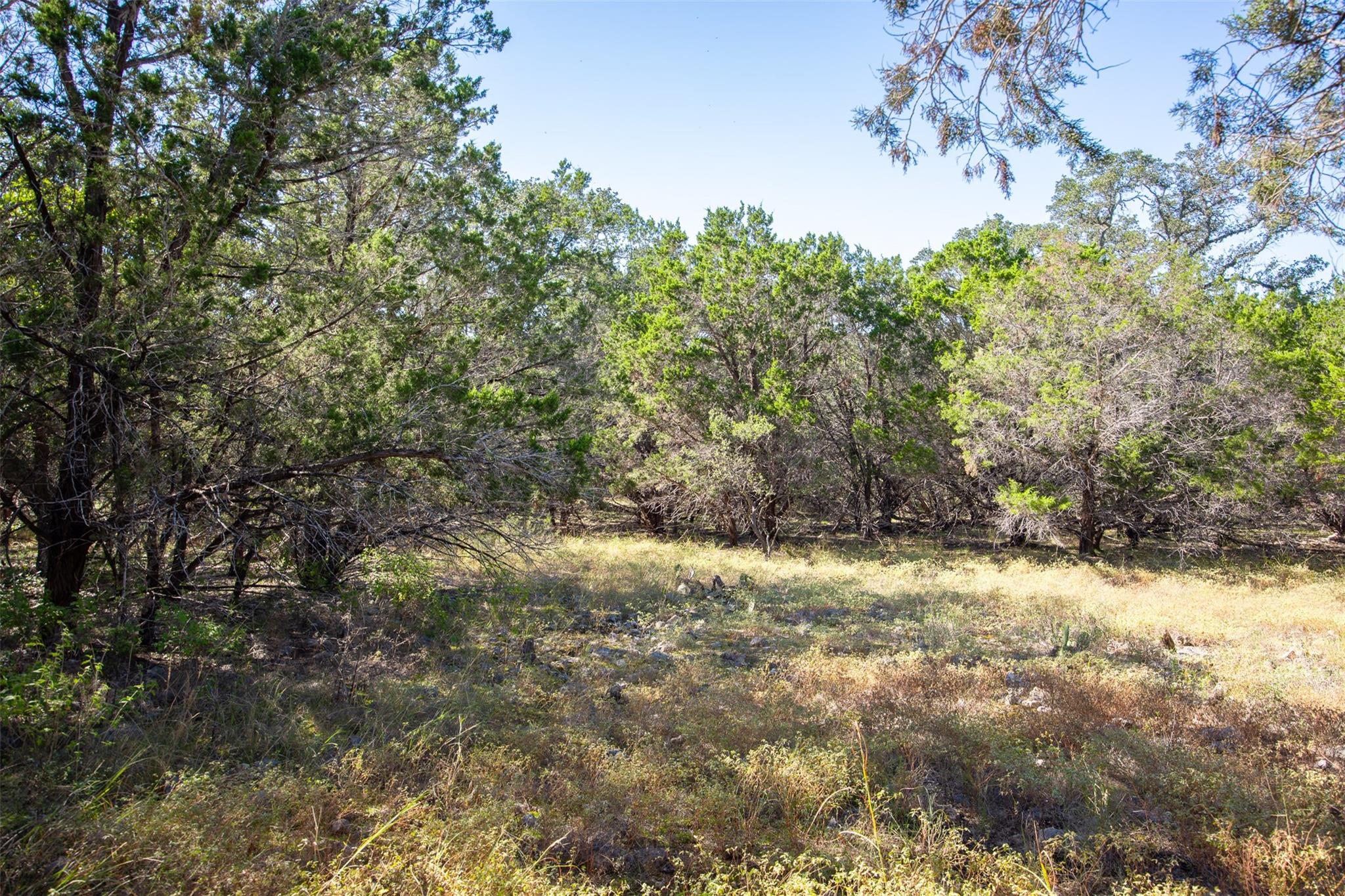 1962 Paradise Parkway Canyon Lake TX 78133