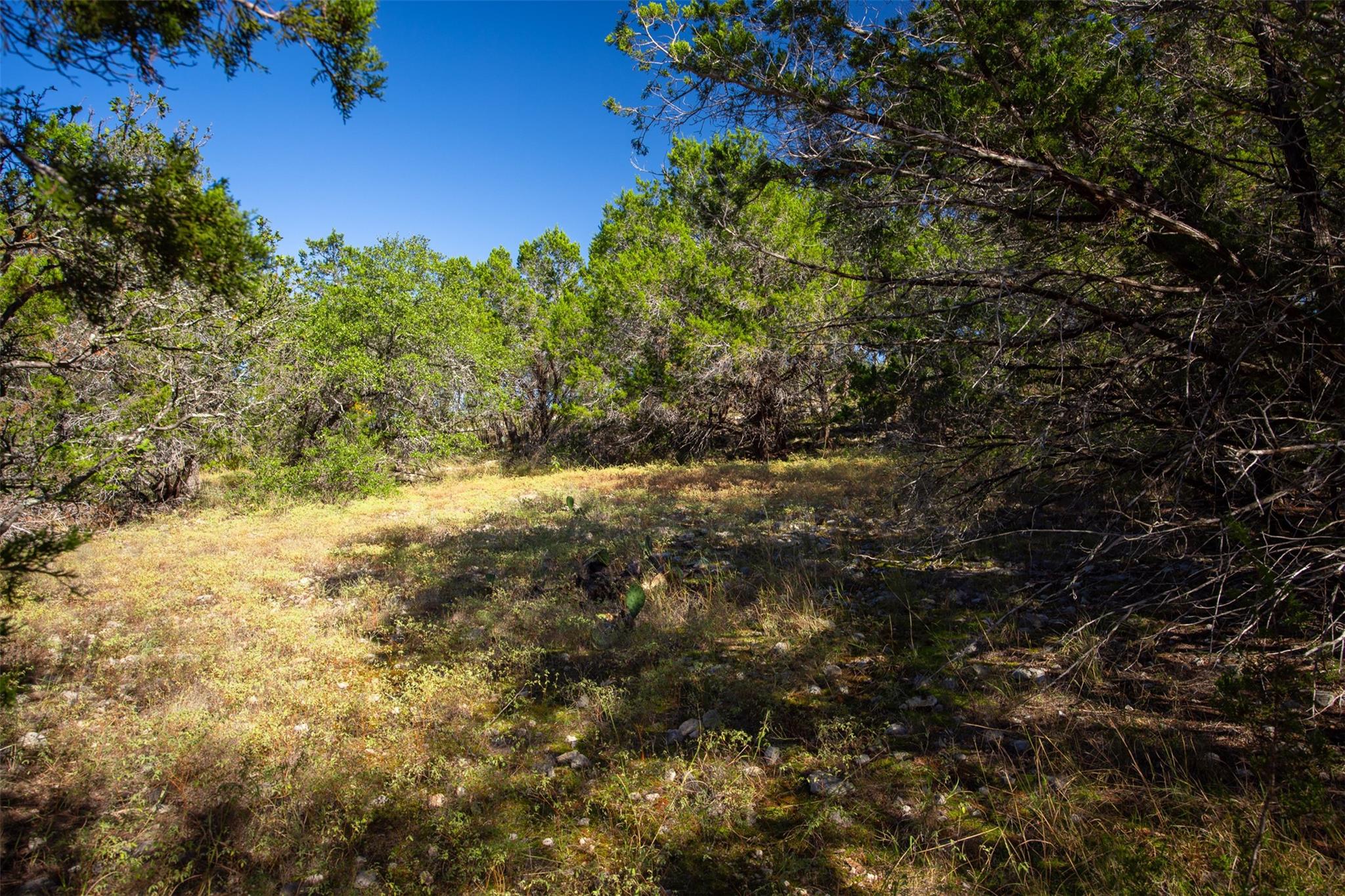 1962 Paradise Parkway Canyon Lake TX 78133