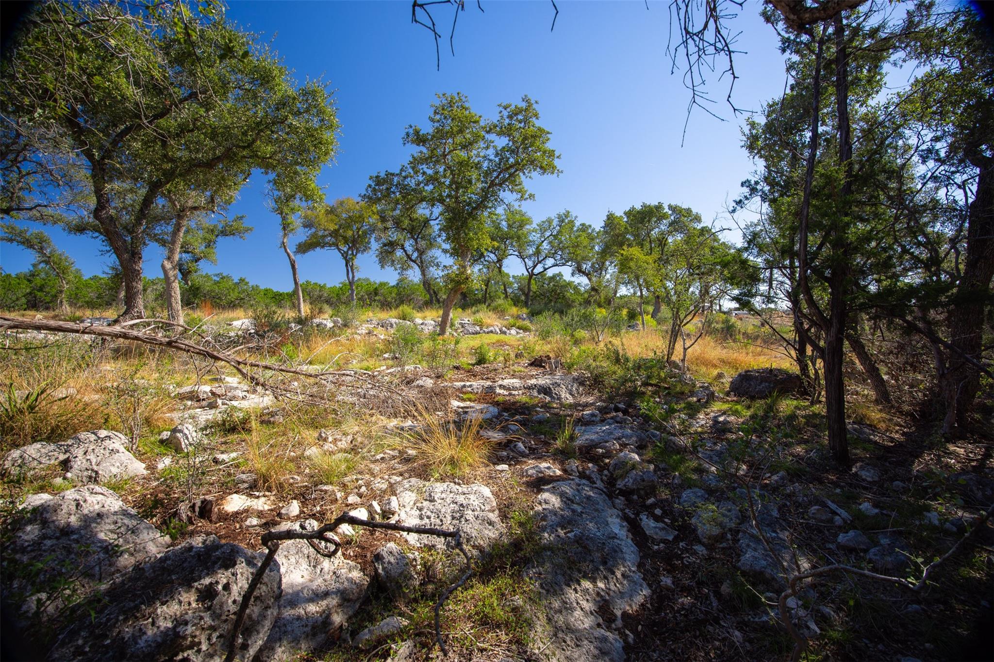1962 Paradise Parkway Canyon Lake TX 78133