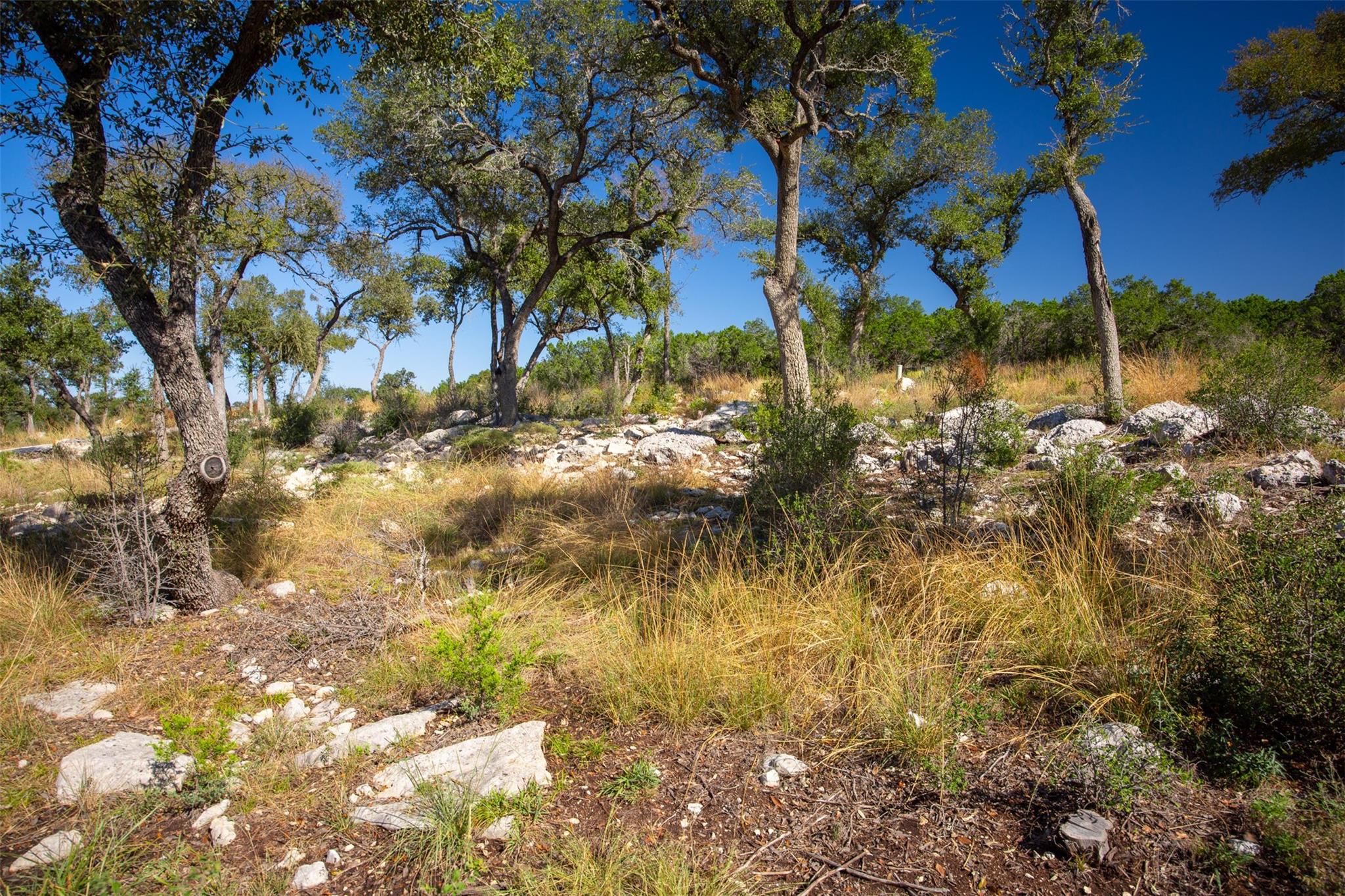 1962 Paradise Parkway Canyon Lake TX 78133