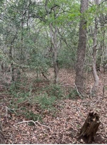 Lot 755 Bali Hai Lane Bastrop TX 78602
