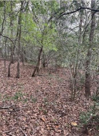 Lot 755 Bali Hai Lane Bastrop TX 78602