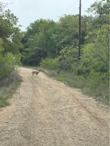 Lot 755 Bali Hai Lane Bastrop TX 78602