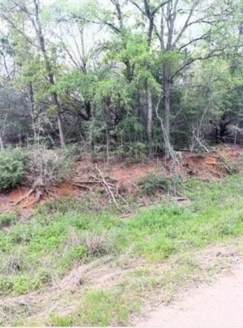 Lot 755 Bali Hai Lane Bastrop TX 78602