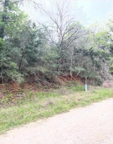 Lot 755 Bali Hai Lane Bastrop TX 78602