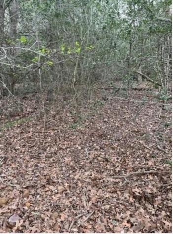 Lot 755 Bali Hai Lane Bastrop TX 78602