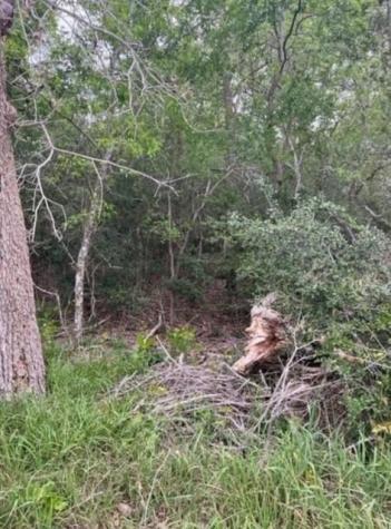 Lot 755 Bali Hai Lane Bastrop TX 78602
