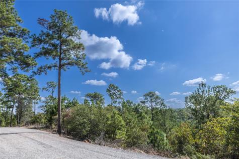 Lot 707 E Waimea Court Bastrop TX 78602
