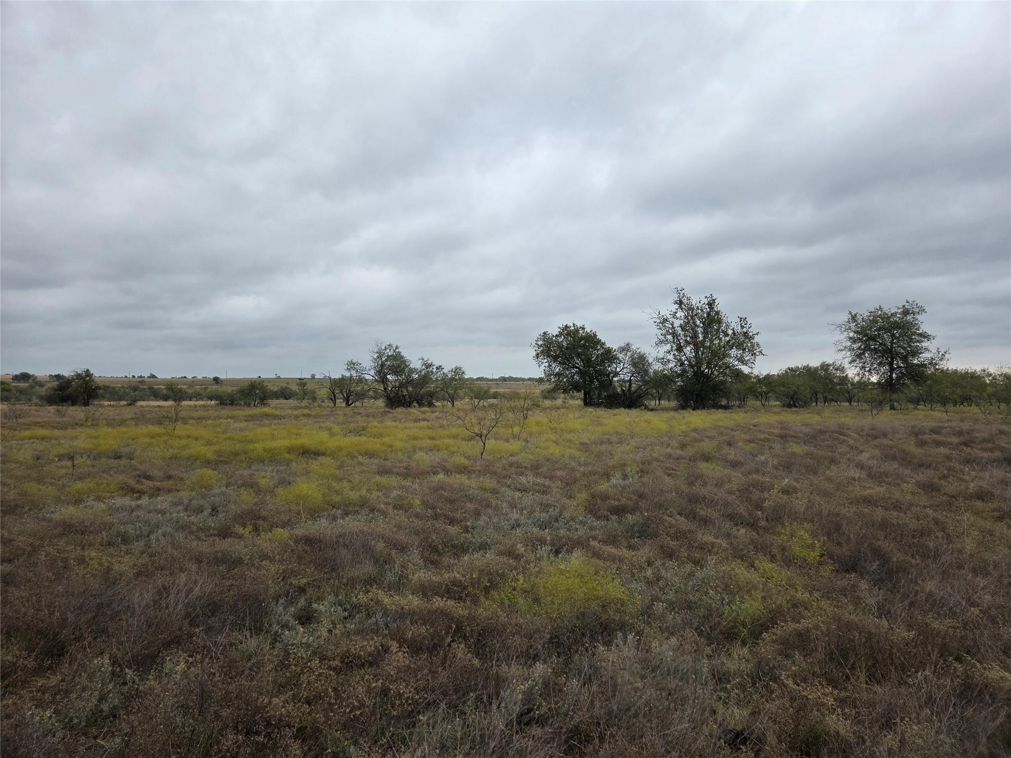 2860 N Fm 1702 Hamilton TX 76531