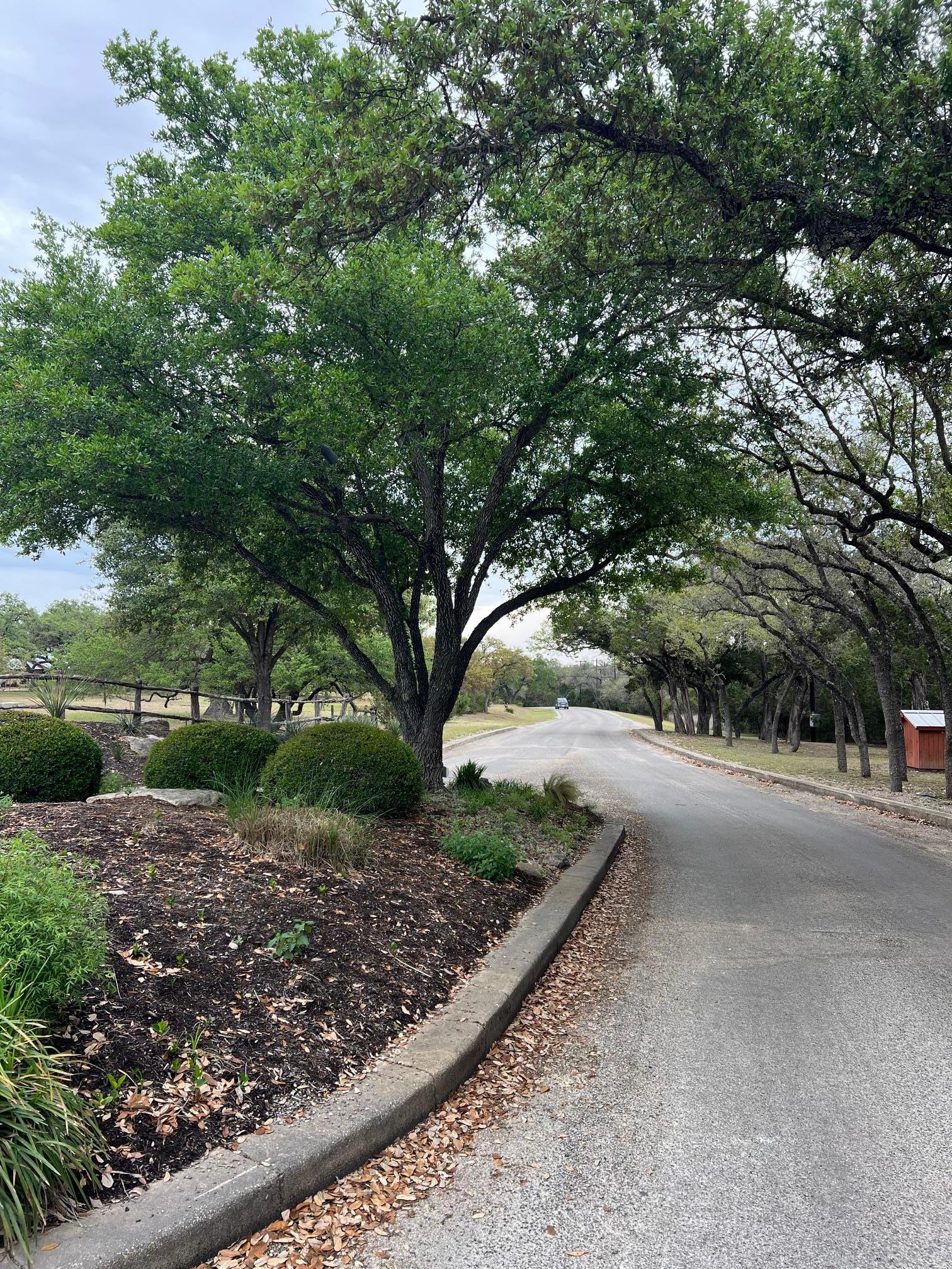 Lot 66 Broken Spoke 5 Acres Canyon Lake TX 78133