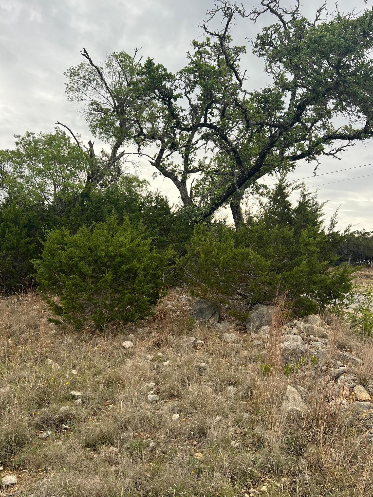 Lot 66 Broken Spoke 5 Acres Canyon Lake TX 78133