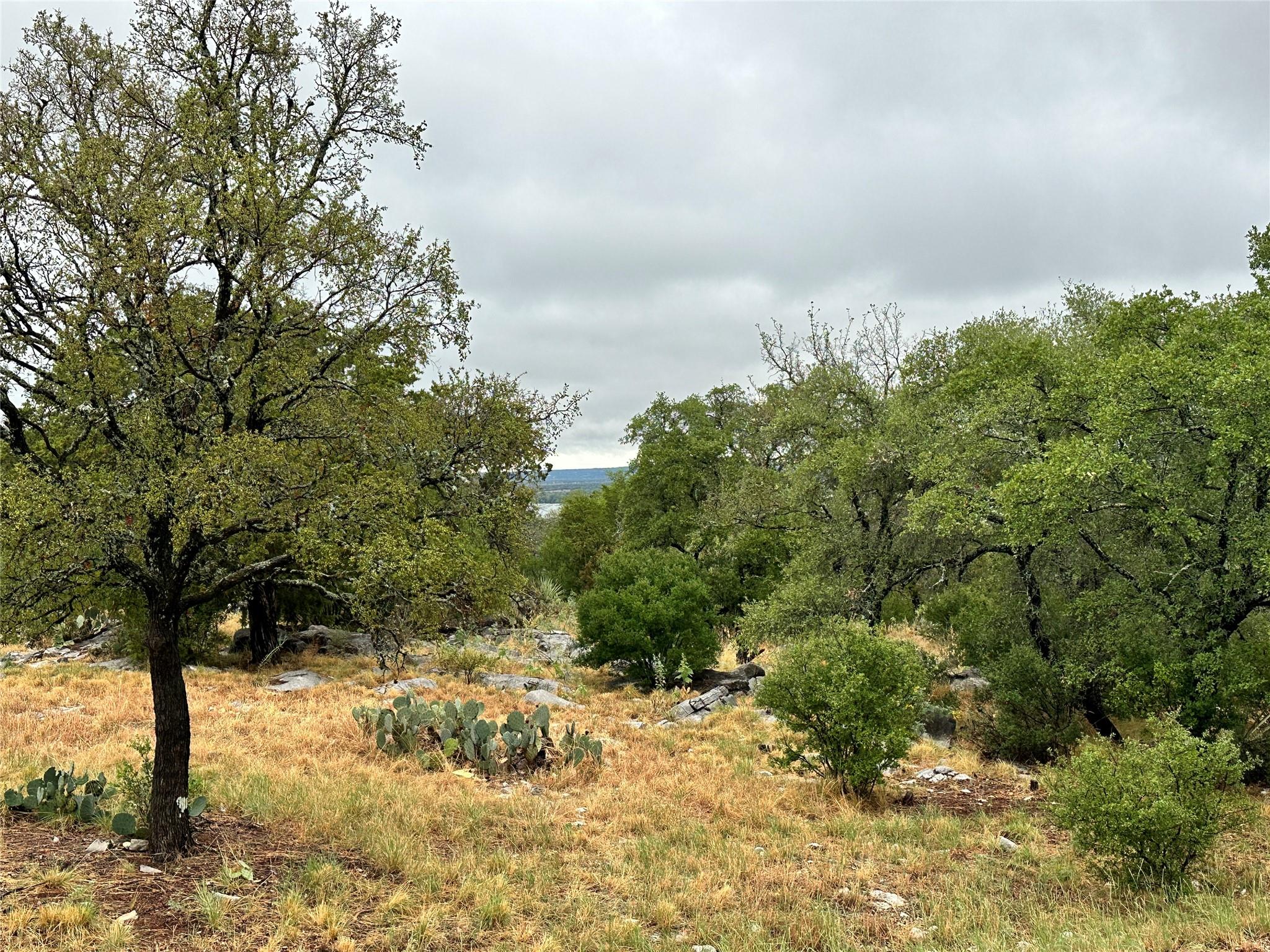 820 Mountain Dew Horseshoe Bay TX 78657
