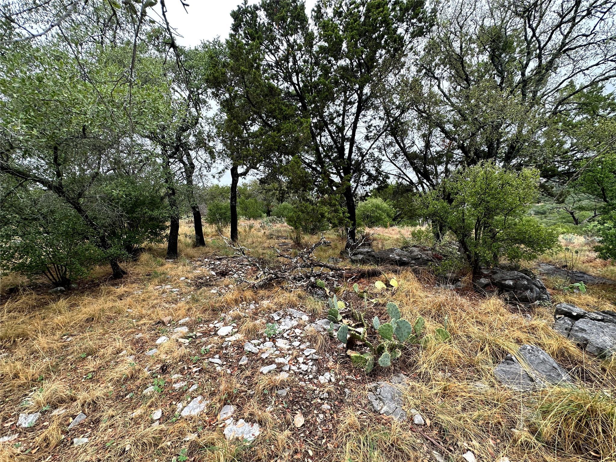 820 Mountain Dew Horseshoe Bay TX 78657