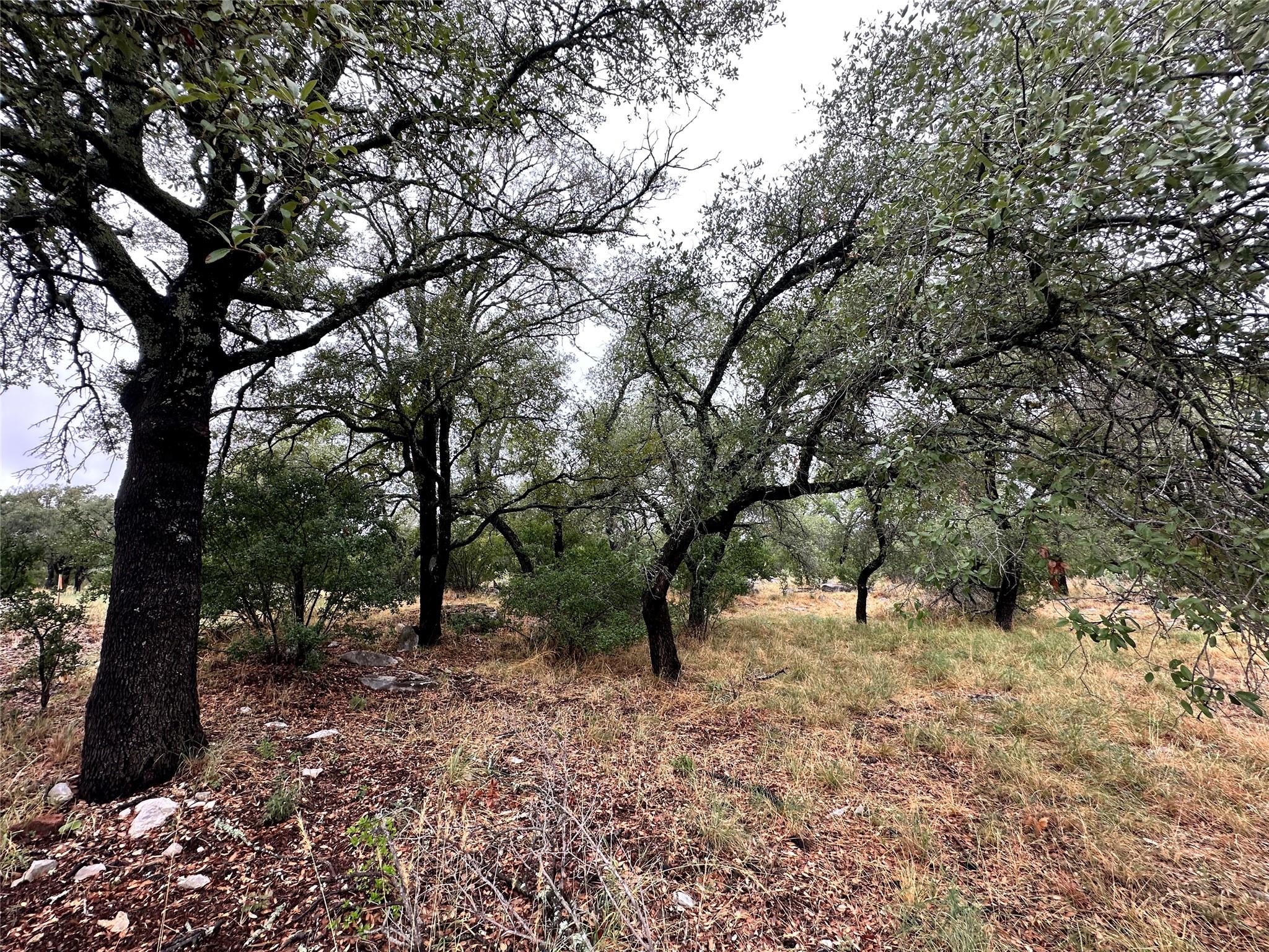 820 Mountain Dew Horseshoe Bay TX 78657
