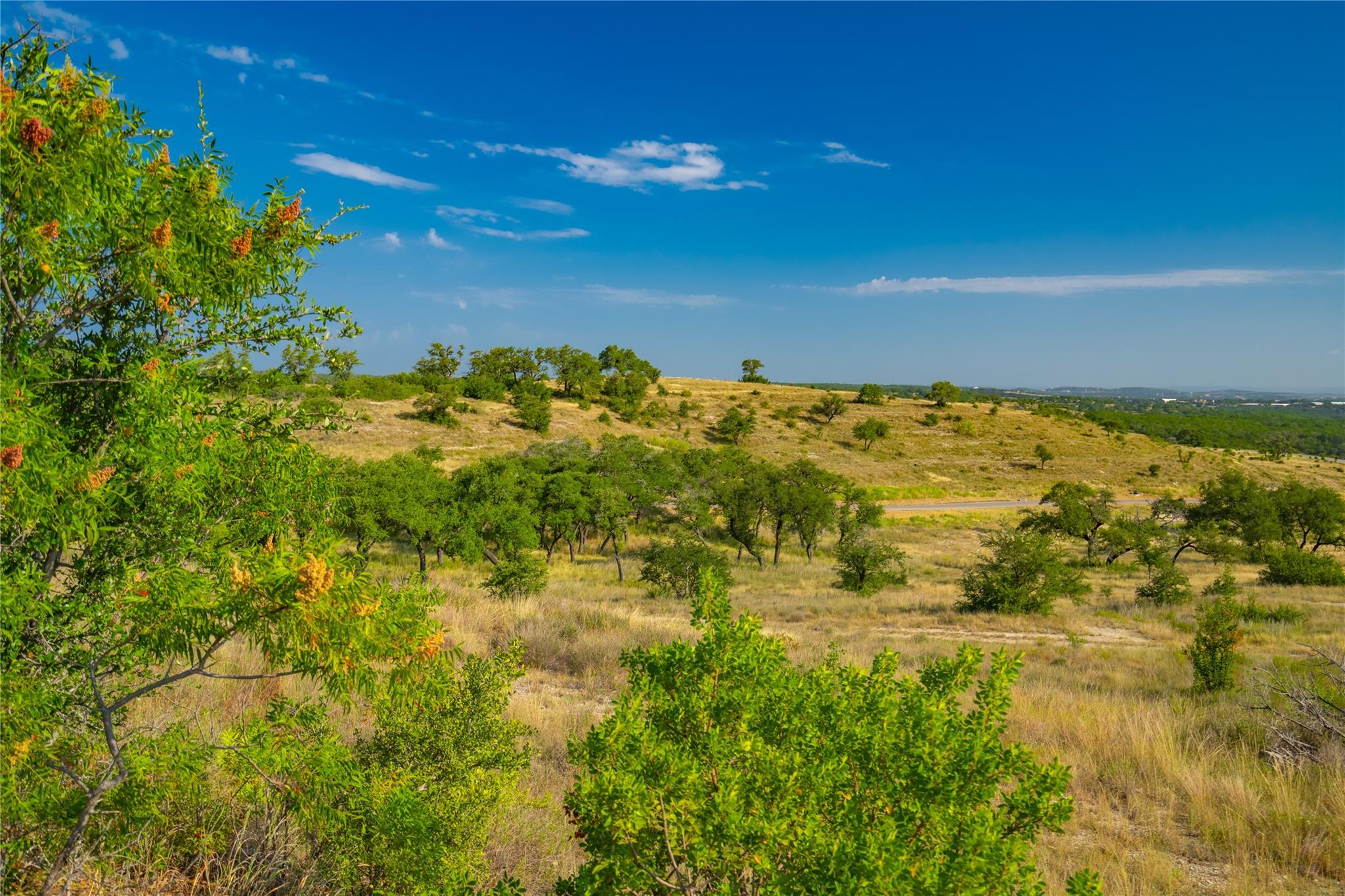 7327 Spiro Trail Austin TX 78738