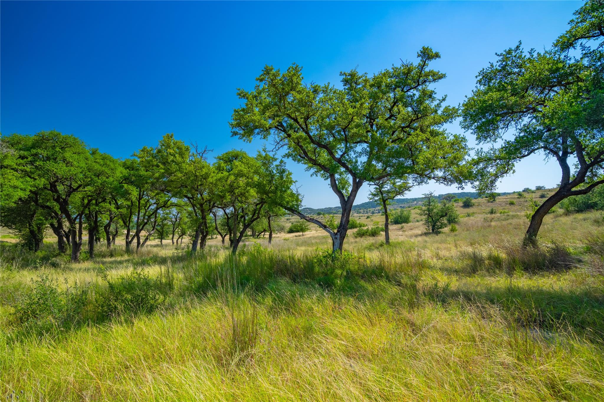7327 Spiro Trail Austin TX 78738