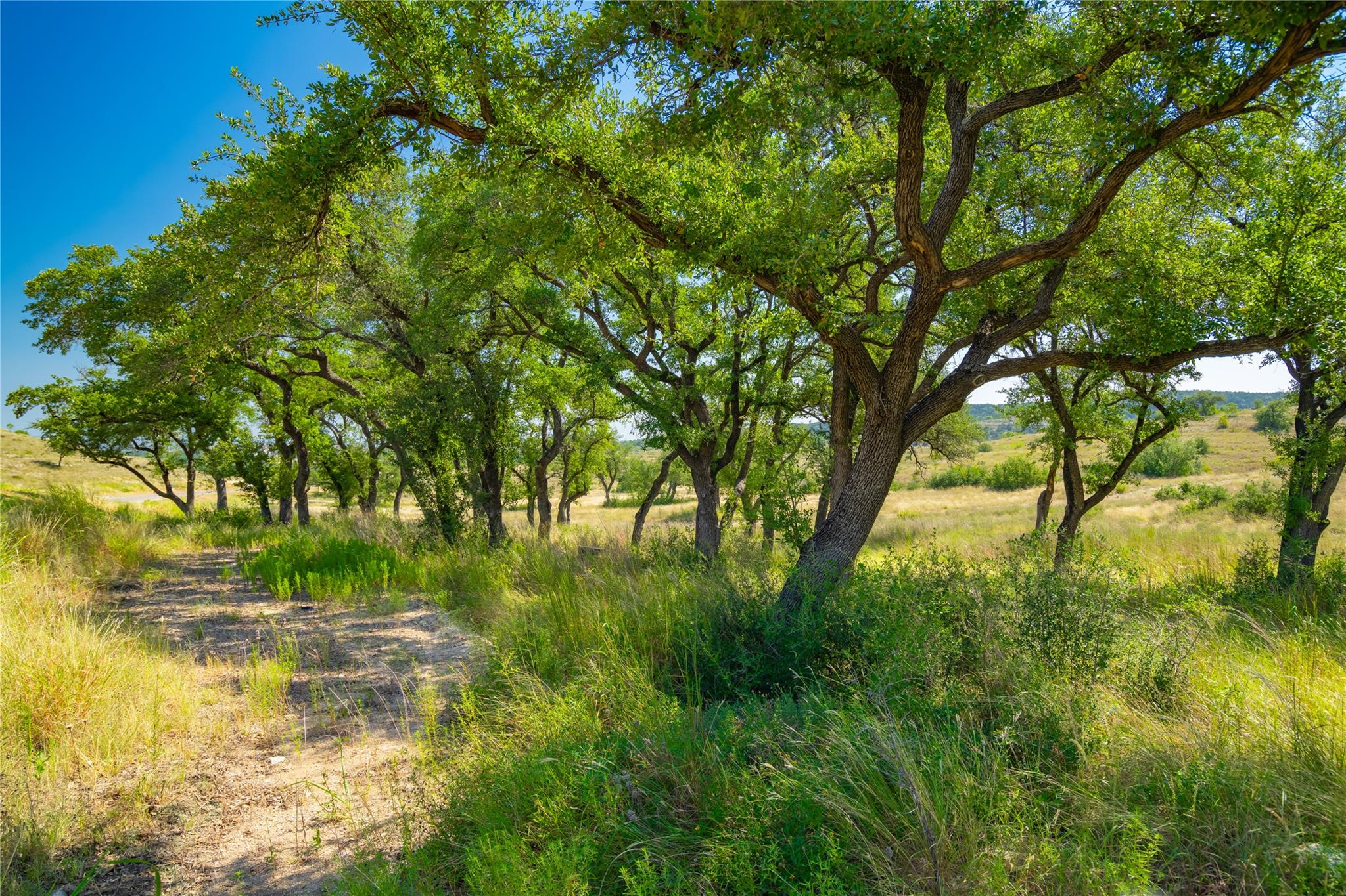 7327 Spiro Trail Austin TX 78738