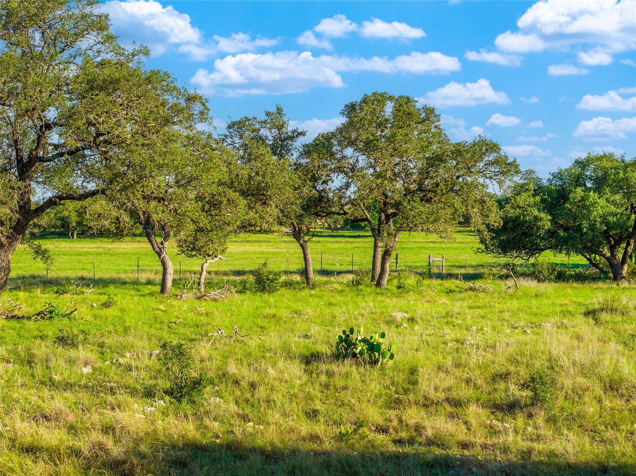 Tbd Mount Sharp Road (Private Road) Road Wimberley TX 78676
