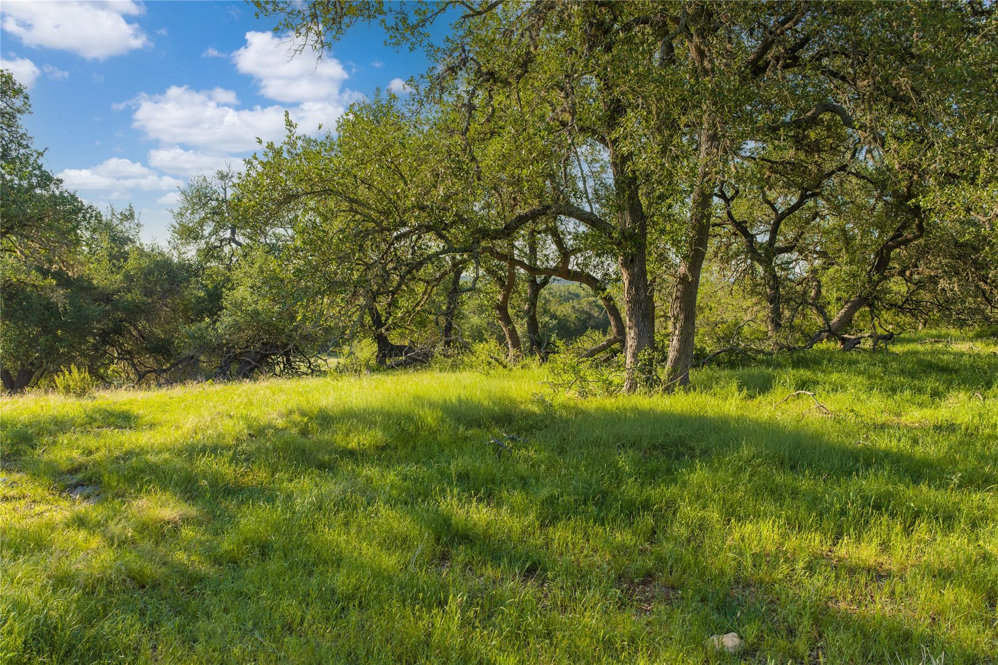 Tbd Mount Sharp Road (Private Road) Road Wimberley TX 78676