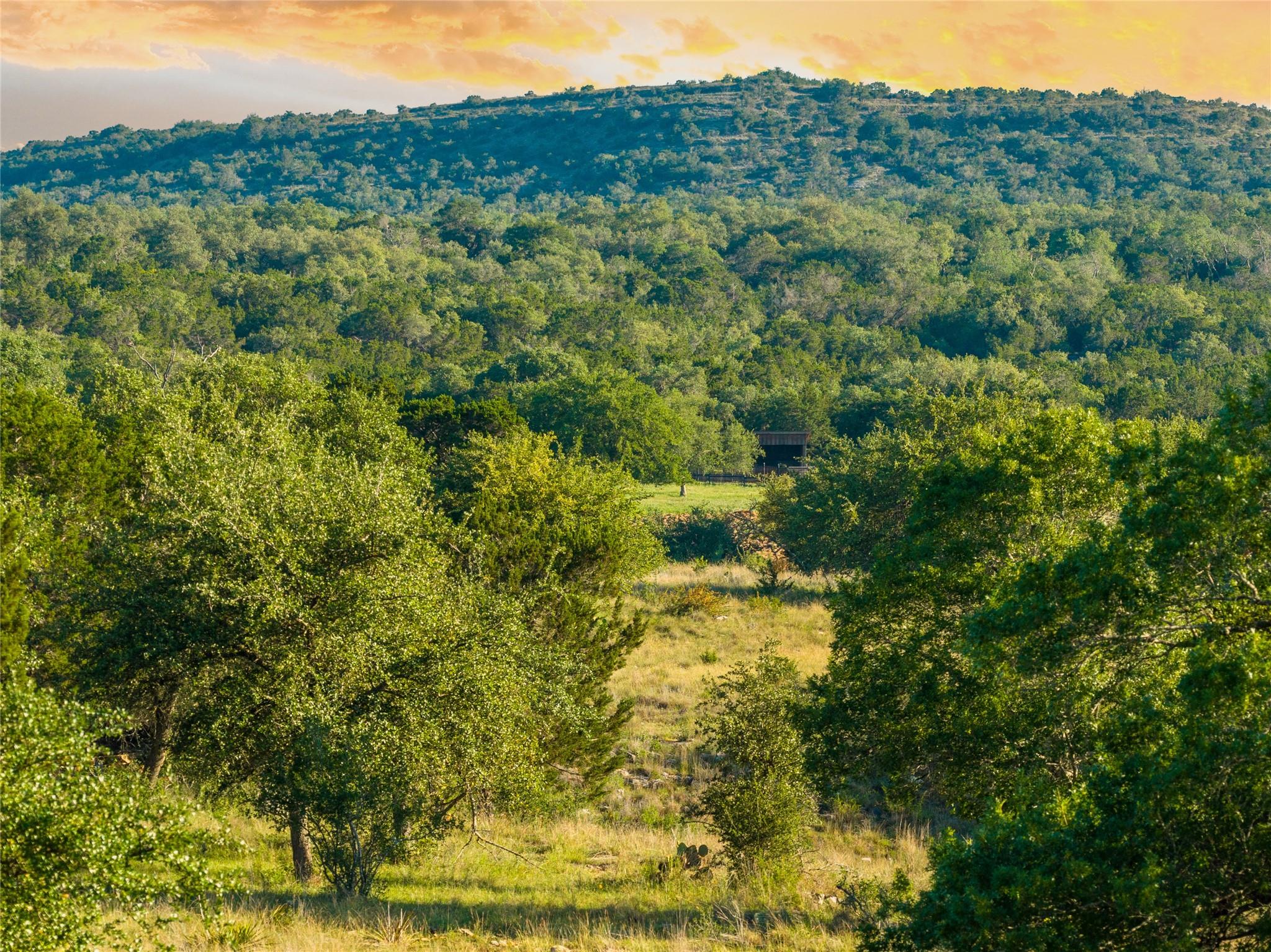 Tbd Mount Sharp Road (Private Road) Road Wimberley TX 78676
