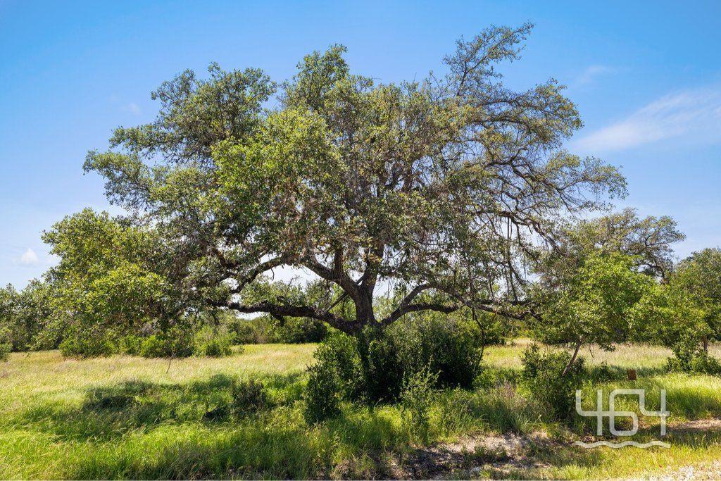 26 Coastal Loop Drive Johnson City TX 78636