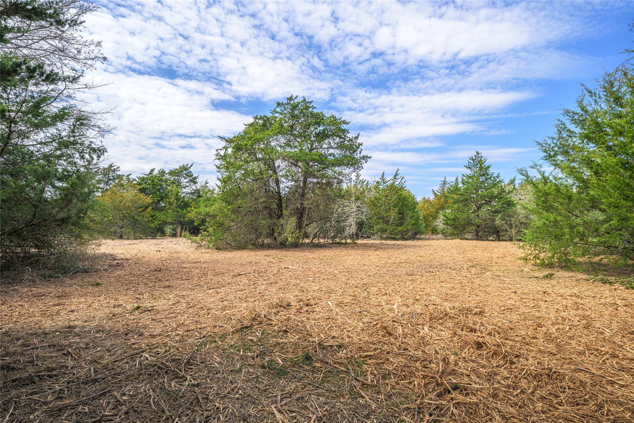Tbd (LOT 4) Independence Street Carmine TX 78932