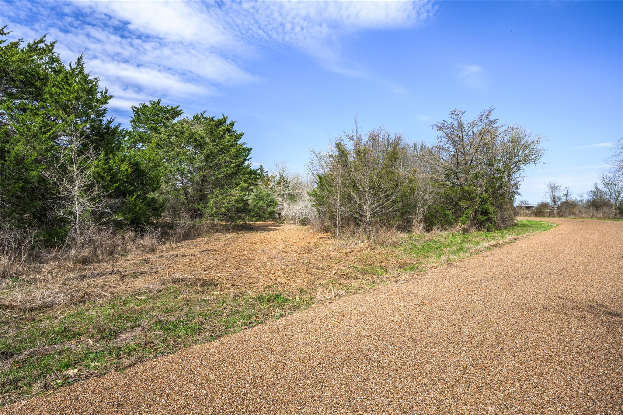 Tbd (LOT 4) Independence Street Carmine TX 78932