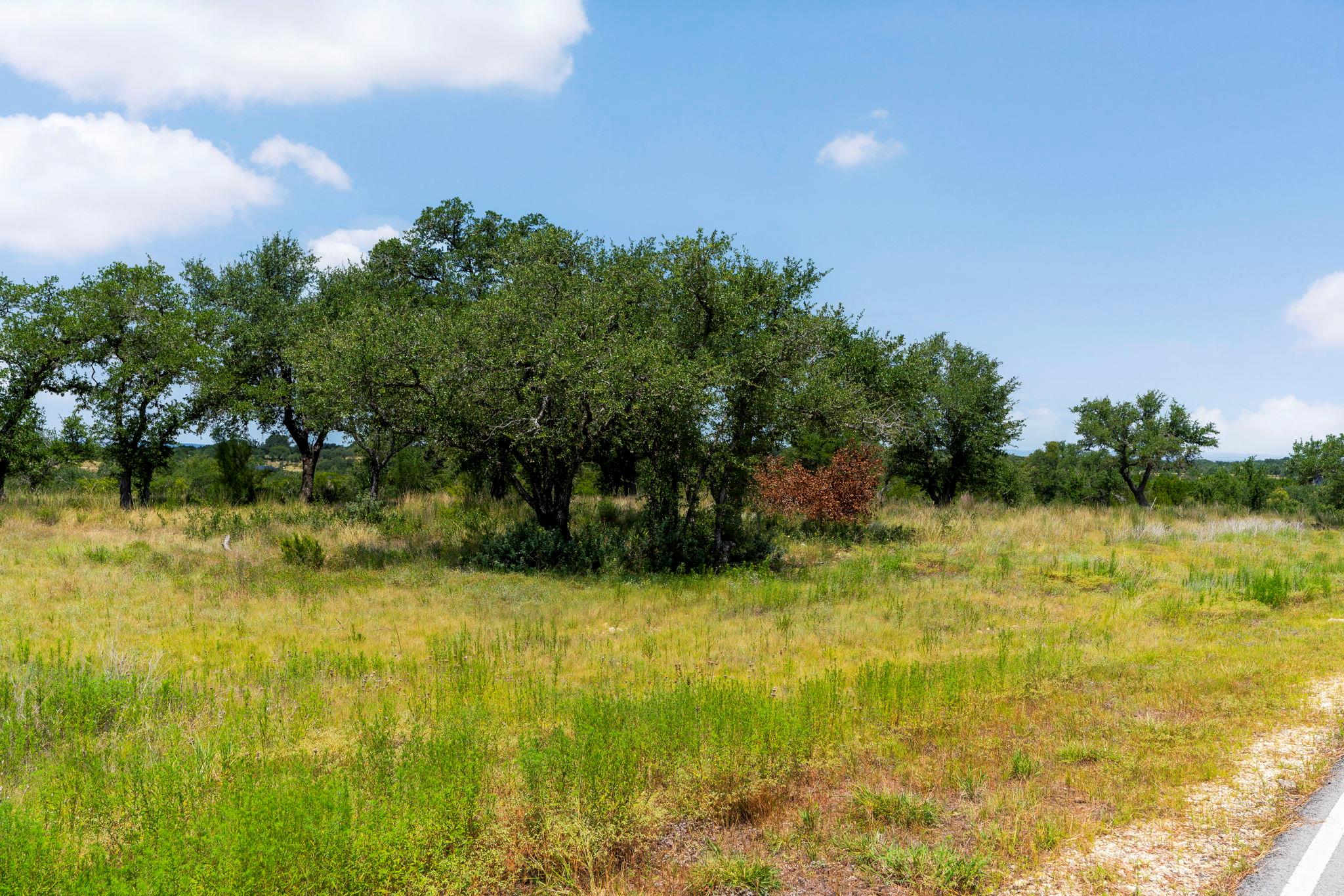 Lot 31 Prancing Deer Lane Johnson City TX 78636