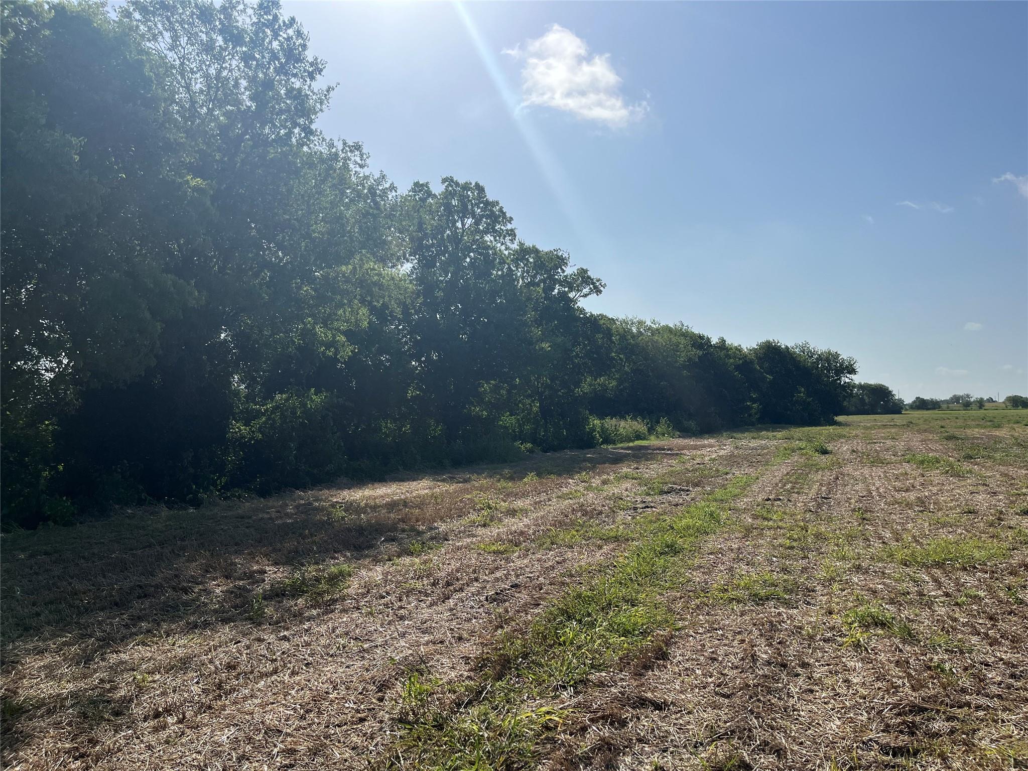 13000 Romberg Road Holland TX 76534
